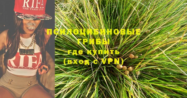 прущие крисы Зеленодольск