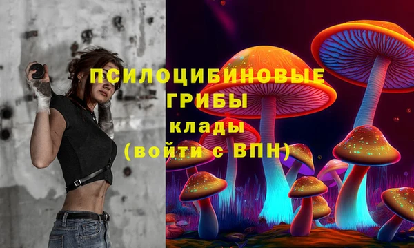 СК Зеленокумск