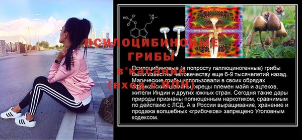 СК Зеленокумск