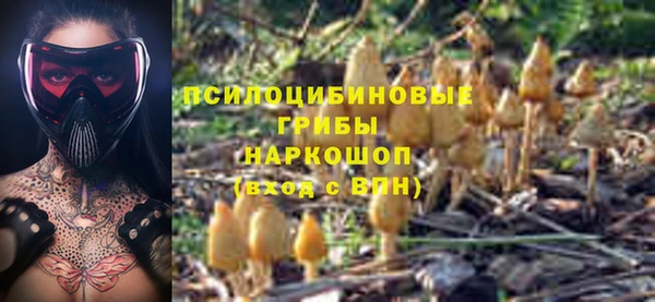 прущие крисы Зеленодольск