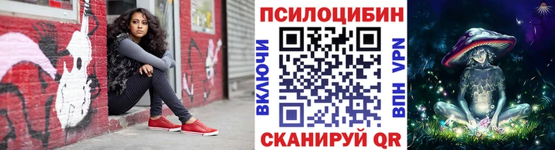 Псилоцибиновые грибы Magic Shrooms  Купить закладки  Костерёво 