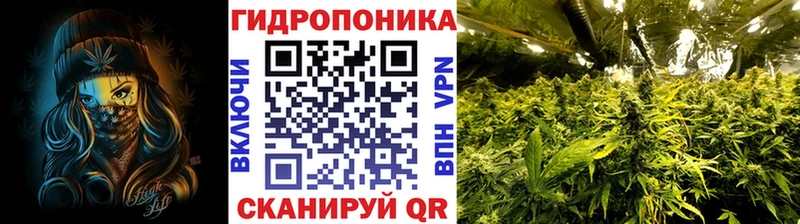 Бошки марихуана сатива  Купить  Костерёво 